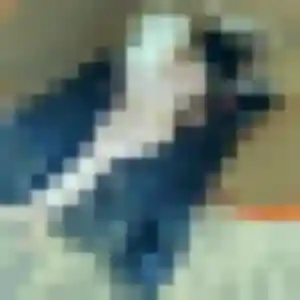 Photo privée de Ameline, 20 ans à Agen - plan discret