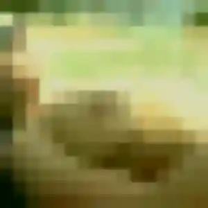 Inaya (28 ans) à Aucamville propose un rencontre adulte ce soir