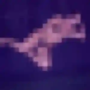 Photo sexy de Anais, 45 ans à Bas-en-Basset - plan discret