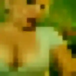 Photo privée de Gwendoline, 22 ans à Beaucaire - rencontre coquine