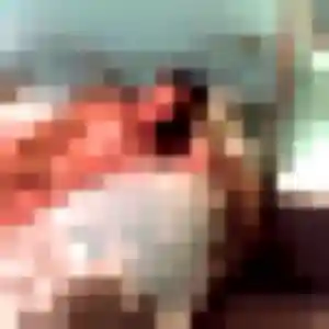 Photo de Debora à Boulazac Isle Manoire (36 ans) - rencontre adulte discret