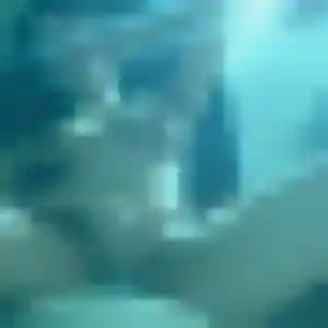 Découvre Penelope, 30 ans à Brassac-les-Mines gratuitement