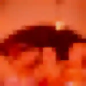 Photo perso de Sophie, 25 ans à Brie - rencontre coquine