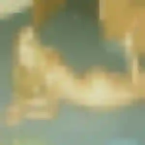Xaviere, 28 ans, en ligne à Brives-Charensac pour un rencontre adulte