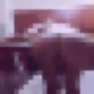 Photo de Quitterie à Canéjan (41 ans) - rencontre adulte discret