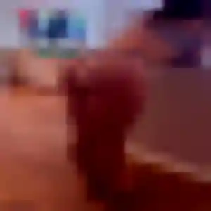 Tania, femme de 28 ans propose rencontre adulte à Capbreton