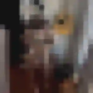 Sophie, 20 ans, connectée à Castries pour une rencontre coquine