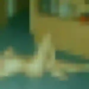 Photo de Zoe à Châteaugay (21 ans) - rencontre adulte gratuit