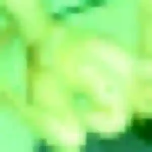 Photo de Cassandre à Chauvigny (34 ans) - rencontre adulte discret