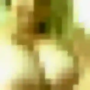Découvre Elodie, 31 ans à Décines-Charpieu en privé
