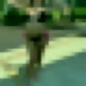 Jennifer, 31 ans, en ligne à Die pour une rencontre coquine