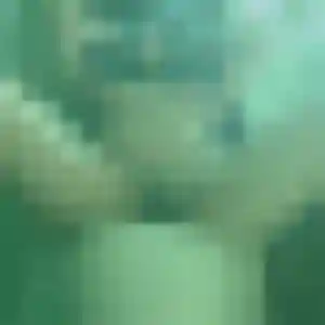 Flavie (37 ans) à Fontaine cherche une rencontre rapidement