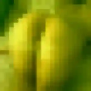 Zephyrine, 42 ans, dispo pour rencontre adulte à Fontanil-Cornillon