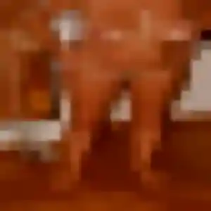 Rebecca (36 ans) à Francheville propose un rencontre adulte ce soir
