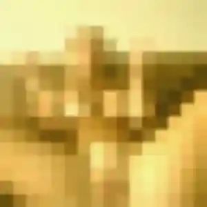 Photo de Eleonore à Gan (36 ans) - rencontre adulte sans inscription