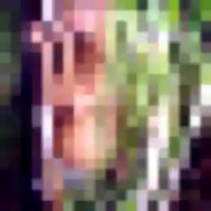Photo de Zoe à Gannat (40 ans) - rencontre adulte gratuit