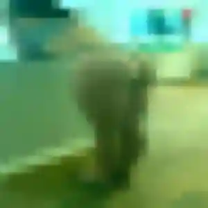 Photo sexy de Vinciane, 26 ans à Gruissan - plan discret