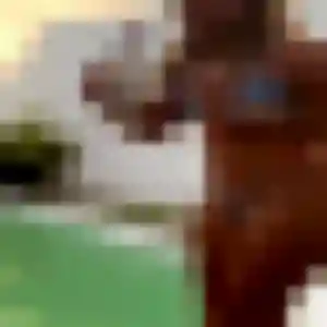 Photo privée de Apolline, 39 ans à La Salvetat-Saint-Gilles - rencontre coquine