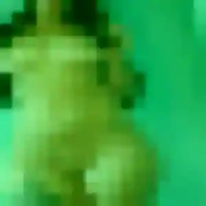 Flavia, 34 ans, connectée à La Salvetat-Saint-Gilles pour un rencontre adulte