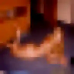 Photo privée de Maelys, 26 ans à La Voulte-sur-Rhône - plan discret