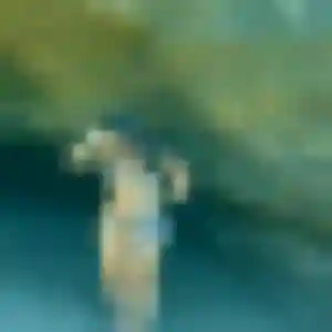 Samantha, femme de 26 ans propose rencontre adulte à Libourne
