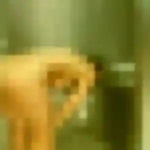 Rejoins Nina, 31 ans à Lisle-sur-Tarn en privé