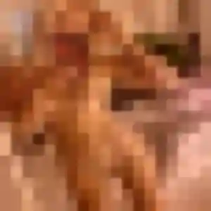 Lisette (43 ans) à Lormont propose une rencontre maintenant