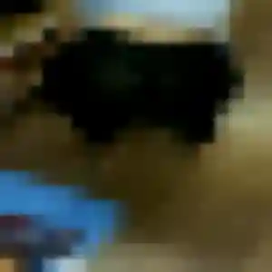 Charmante Pauline, 42 ans à Malemort - voir sa photo