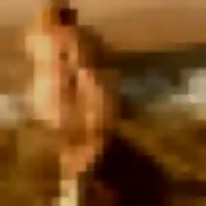 Marie-Jeanne, 28 ans, en ligne à Marssac-sur-Tarn pour un rencontre adulte