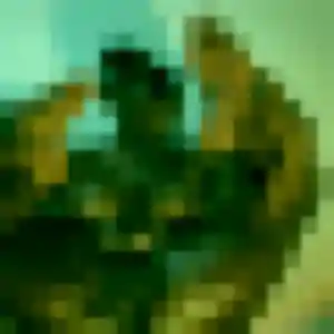 Photo de Vanessa à Mions (19 ans) - rencontre adulte gratuit