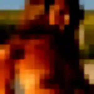 Photo de Brune à Montalieu-Vercieu (26 ans) - rencontre adulte anonyme