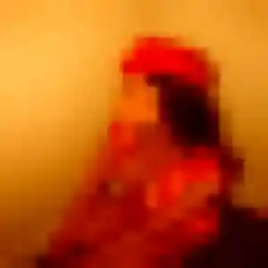 Profil de Fanny à Mourenx (21 ans) - rencontre adulte anonyme