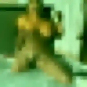 Photo perso de Clotilde, 19 ans à Nyons - rencontre coquine