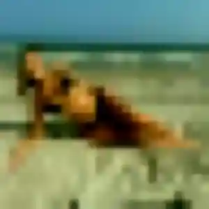 Profil de Yolande à Pélussin (45 ans) - rencontre adulte gratuit