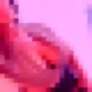 Garance, 28 ans, connectée à Pouillon pour un rencontre adulte