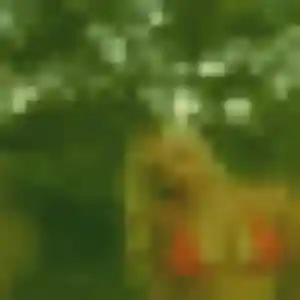 Belle Sibylle, 43 ans à Poussan - voir sa photo