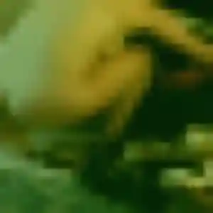 Sexy Bernadette, 21 ans à Quillan - voir sa photo
