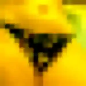 Sexy Zelda, 20 ans à Renage - découvrir son profil