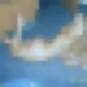 Profil de Dina à Riorges (41 ans) - rencontre adulte gratuit