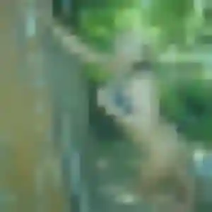 Zelda, 26 ans, en ligne à Rivesaltes pour un rencontre adulte