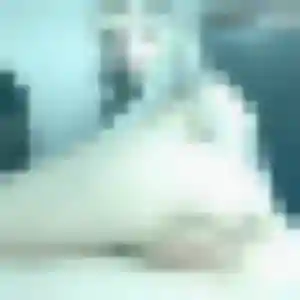 Sexy Maya, 20 ans à Royan - voir sa photo