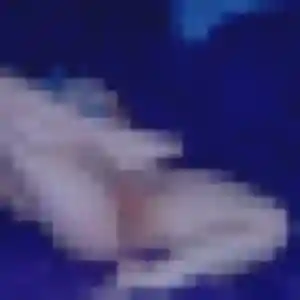 Melodie, 38 ans, dispo pour rencontre adulte à Saint-Genest-Lerpt
