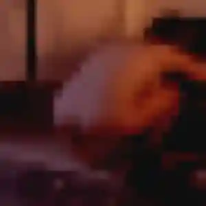 Sexy Nadia, 32 ans à Saint-Georges-lès-Baillargeaux - voir sa photo