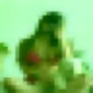 Photo sexy de Suzanne, 37 ans à Saint-Jean-Bonnefonds - plan discret