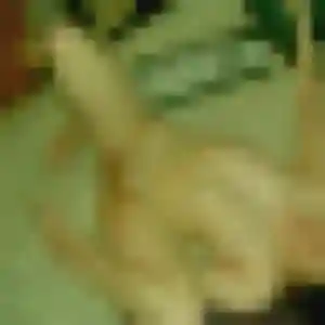 Photo sexy de Clotilde, 36 ans à Saint-Marcel-lès-Valence - rencontre coquine