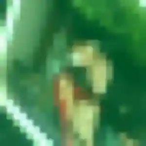 Sara (33 ans) à Saint-Martin-de-Valgalgues cherche un rencontre adulte rapidement