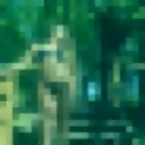 Fleur, 39 ans, connectée à Saint-Martin-la-Pallu pour un rencontre adulte