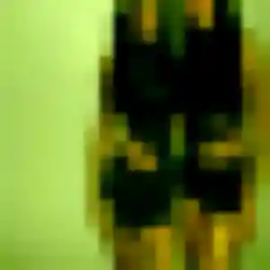 Profil de Aisha à Saint-Orens-de-Gameville (31 ans) - rencontre adulte gratuit