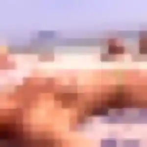 Armelle, 45 ans, disponible à Saint-Orens-de-Gameville pour une rencontre coquine