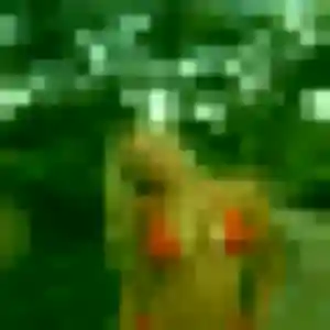 Charmante Paloma, 29 ans à Saint-Quentin-la-Poterie - la contacter